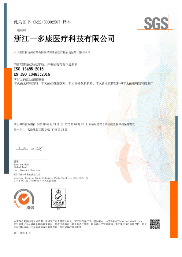 ISO 13485 CN