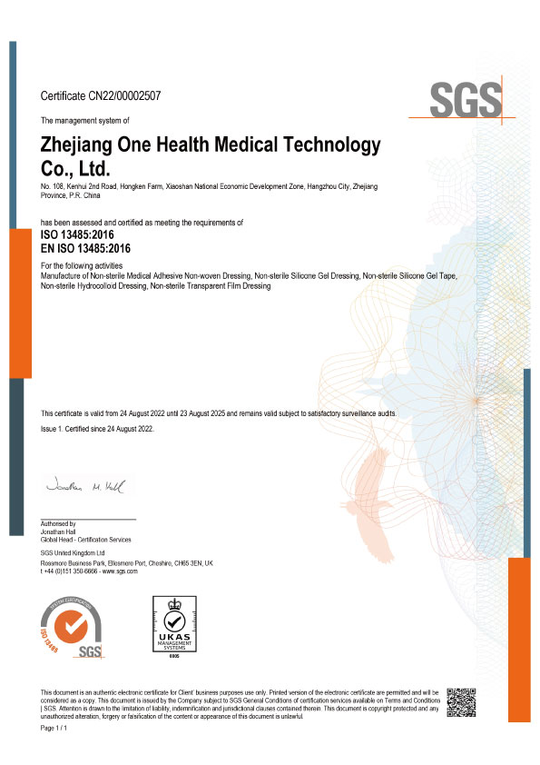 ISO 13485 EN